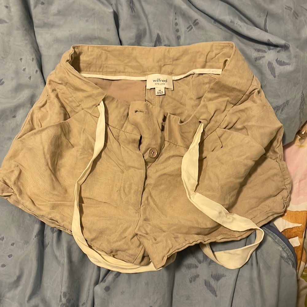 Aritzia shorts